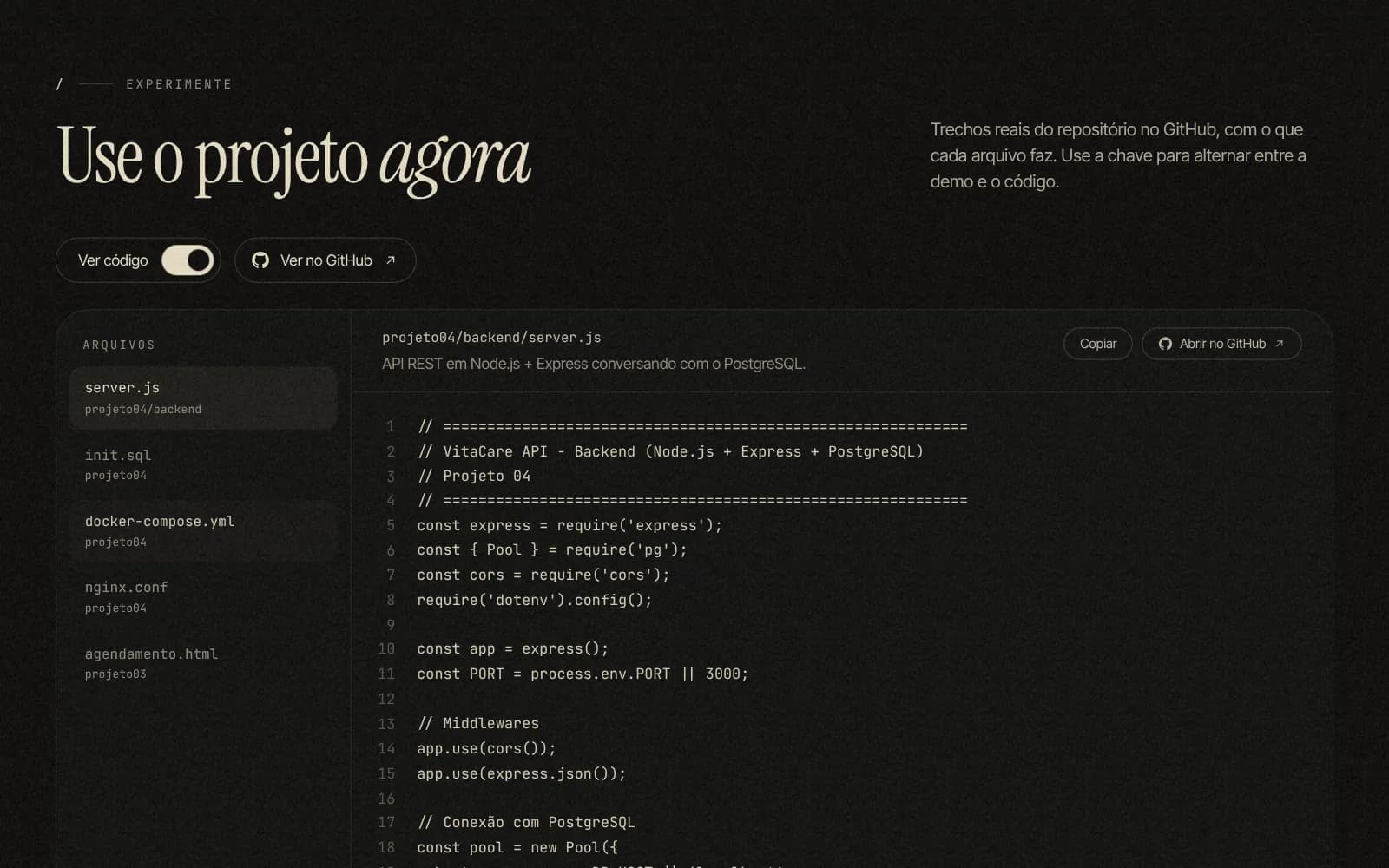 Página de projeto com a chave para ver o código